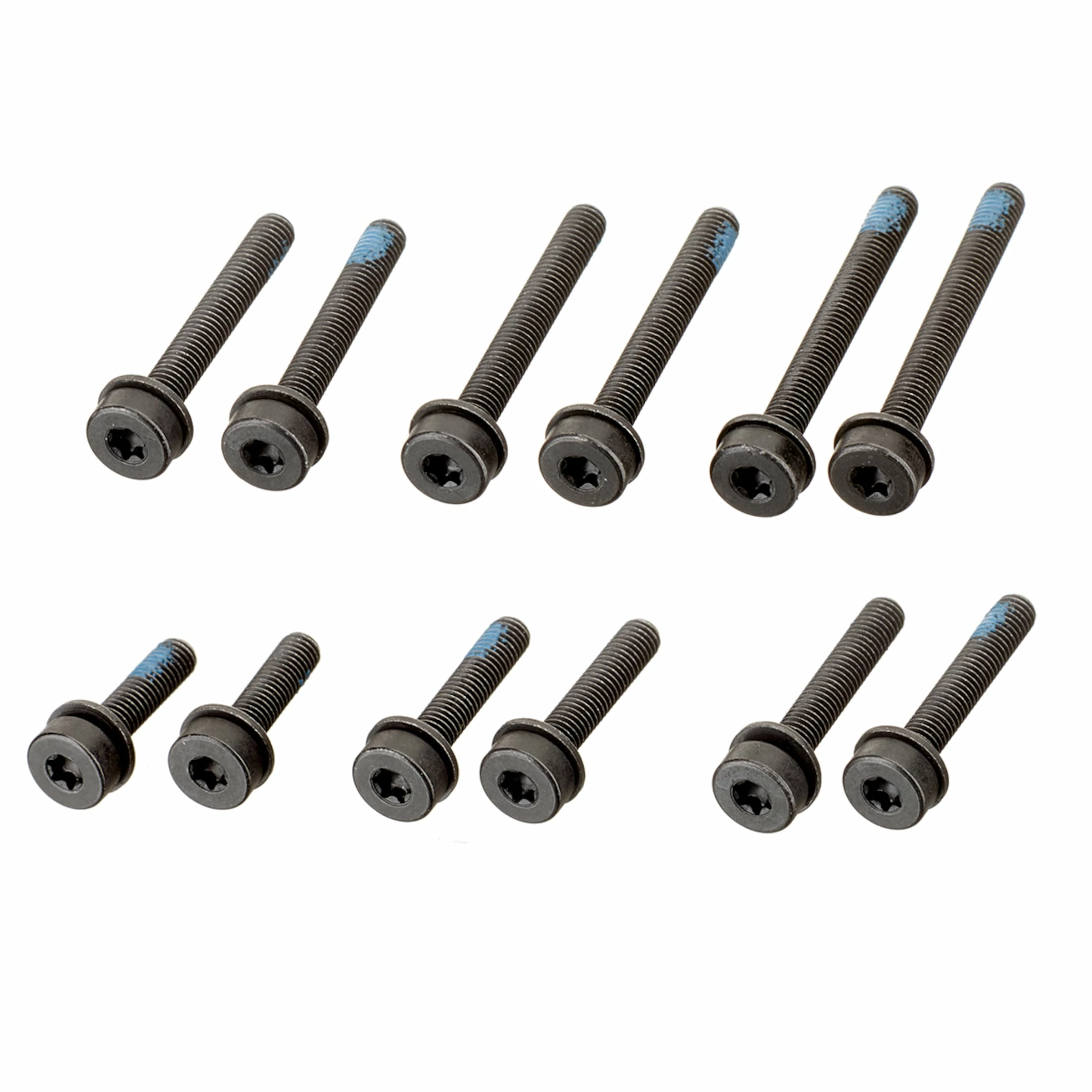 MAGURA Set Vis Flatmount Pour Roue Arrière 3 MAGURA Set Vis Flatmount Pour Roue Arrière